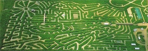 Лабіринт Cherry Crest Adventure Farm