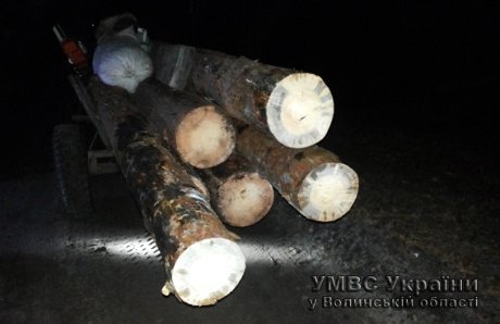 За крадену деревину волиняни можуть «сісти» на п'ять років. ФОТО