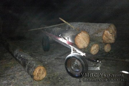 За крадену деревину волиняни можуть «сісти» на п'ять років. ФОТО