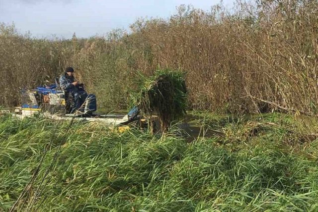 Небайдужі волиняни розчистили машиною-амфібією річку від заростей. ФОТО
