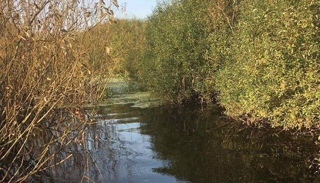 Небайдужі волиняни розчистили машиною-амфібією річку від заростей. ФОТО