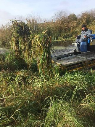 Небайдужі волиняни розчистили машиною-амфібією річку від заростей. ФОТО