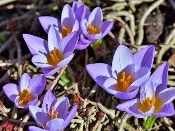 23 травня: чого не можна робити в цей день