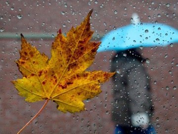 Погода в Луцьку та Волинській області на четвер, 3 листопада