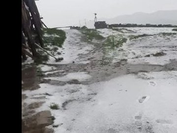 На високогір'ї Карпат випав сніг. ВІДЕО
