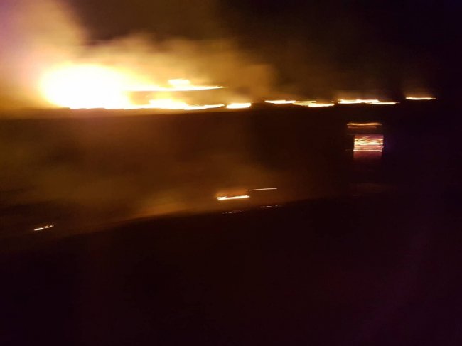 У Ковелі намагаються загасити пожежу на полі. ФОТО