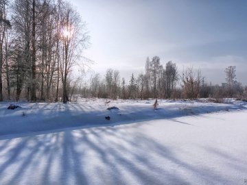 Останній день січня у луцькому парку. ФОТО