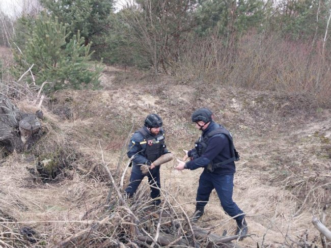 На Волині під час розширення дороги знайшли боєприпаси часів Другої світової війни