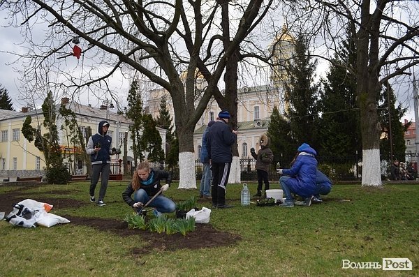 Активісти в центрі Луцька садили клумбу. ФОТО