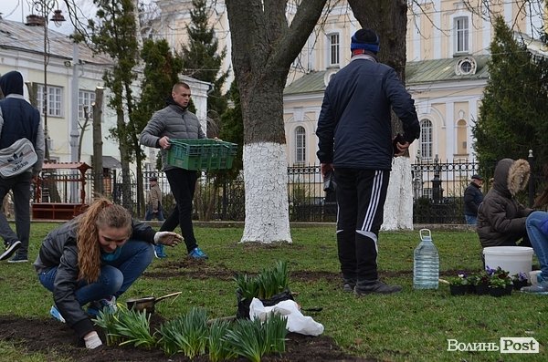 Активісти в центрі Луцька садили клумбу. ФОТО