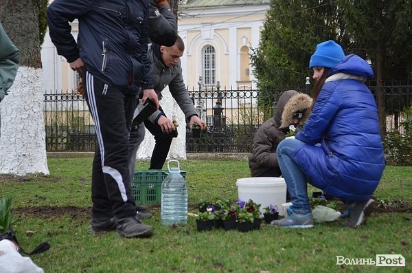 Активісти в центрі Луцька садили клумбу. ФОТО