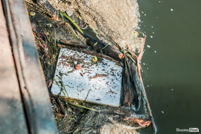Ранок після фестивалю «Бандерштат». ФОТО