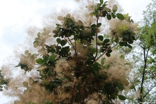 Рівненська атомна електростанція: фотоекскурсія