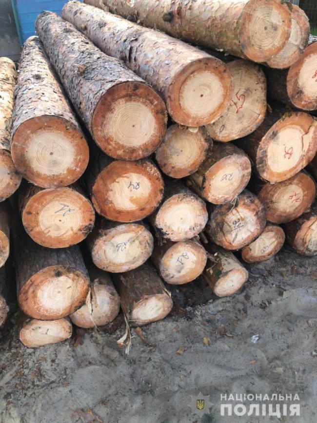 На Волині затримали вантажівку «напаковану» краденими колодами. ФОТО