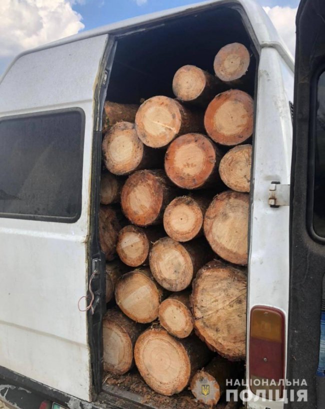 На Волині затримали вантажівку «напаковану» краденими колодами. ФОТО