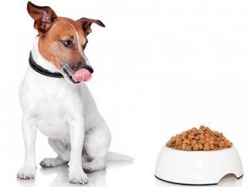 Якісний сухий корм для собак та їх гарного самопочуття*