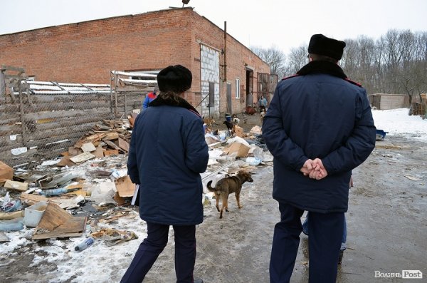 Малолітніх злочинців виховуватимуть у собачому притулку. ФОТО
