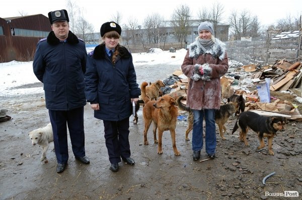Малолітніх злочинців виховуватимуть у собачому притулку. ФОТО