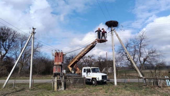 На Волині облаштовують штучні лелечі гнізда на електроопорах. ФОТО.ВІДЕО