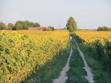 Мальовнича та неповторна природа волинського села. ФОТО