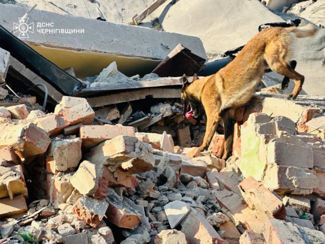 Росія випустила по Україні понад 400 шахедів та більше 40 ракет, — Зеленський