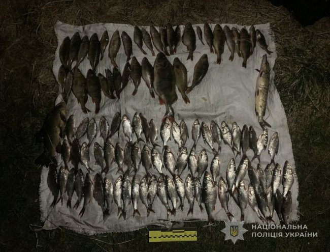 У волинянина вилучили п’ять риболовних сіток і понад сотню різної риби: збитки - майже пів мільйона гривень