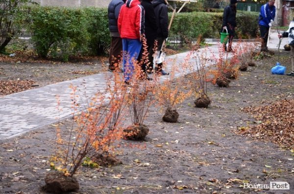 Як луцький депутат виконує свої обіцянки. ФОТО