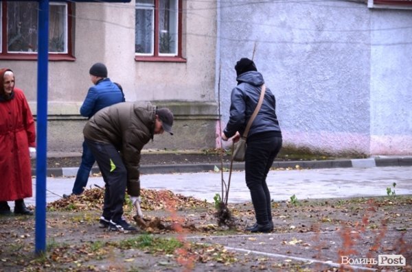Як луцький депутат виконує свої обіцянки. ФОТО