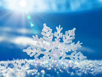 Погода в Луцьку та Волинській області на завтра, 20 грудня