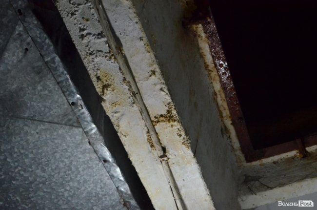 Луцькі депутати сходили в басейн і сауну. ФОТО