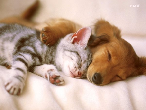 18 березня на Волині: гортаючи календар