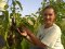 Волинська агроблогерка вирощує тисячі кущів квітів, а також екзотичні фрукти