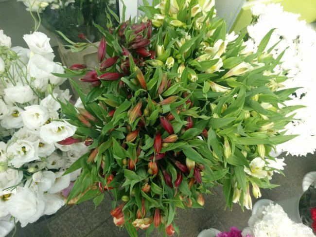 «Квітковий бум» на перший дзвоник: ціни в Луцьку. ФОТО