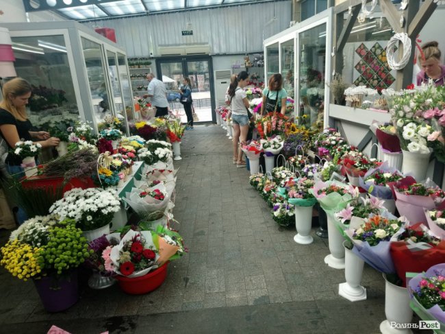 «Квітковий бум» на перший дзвоник: ціни в Луцьку. ФОТО