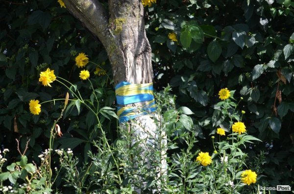 Фотопогляд: старий Луцьк 