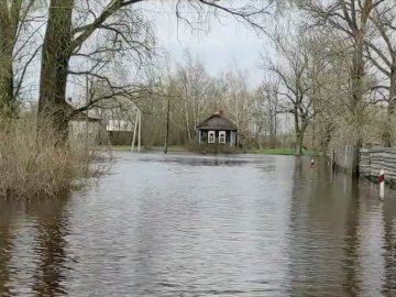 На Волині чоловік з інвалідністю і його старенька матір роками страждають від затоплення будинку