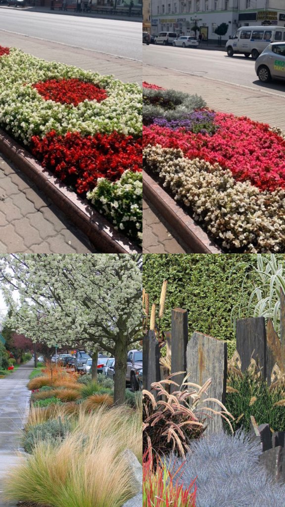 Лучанин просить висадити у центрі міста сухоцвіти. ФОТО