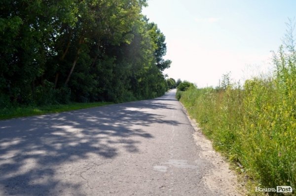 Дорога до ставка в Боголюбах 