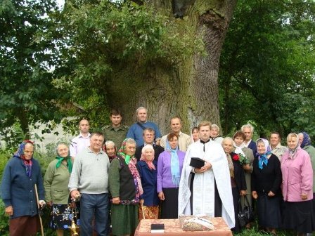 Найстаріші дерева Волині. ФОТО