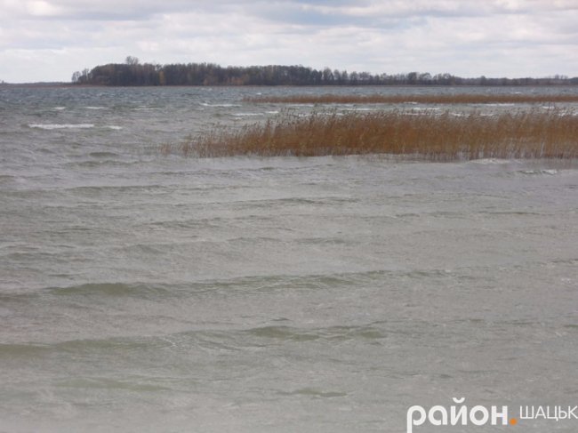 Сердитий і прекрасний: опублікували фото осіннього Світязю