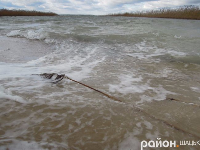 Сердитий і прекрасний: опублікували фото осіннього Світязю