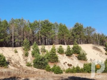 4 мільйони – за Старовижівський «Буковель» : прокуратура на Волині звернулась до суду, аби визнати недійсними торги