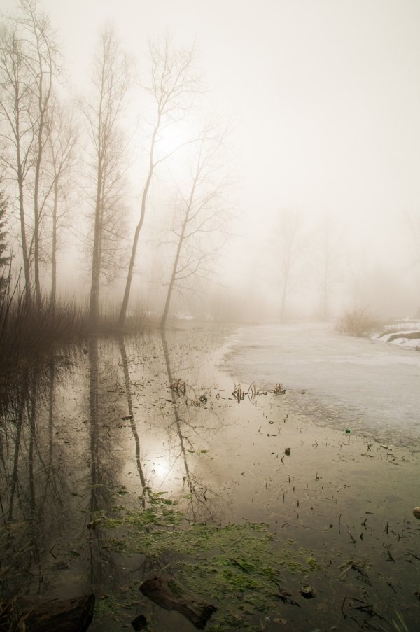 Фотовиставка Василя Охріменка