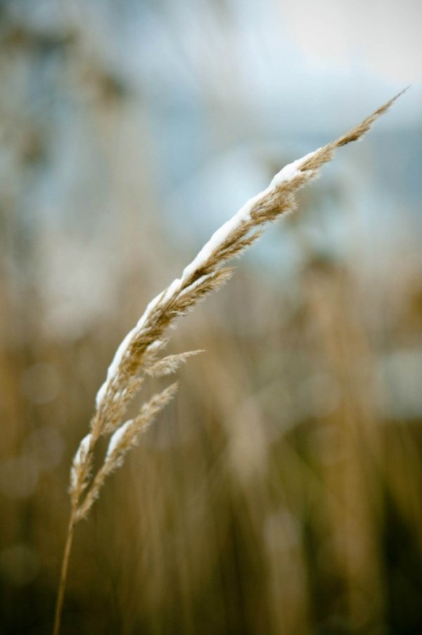 Фотовиставка Василя Охріменка