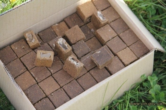 На Волині вакцинують лисиць: просять не чіпати брикети з приманками. ФОТО