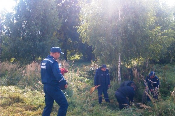 На Волині пожежники ловили мавпу і «стріляли» у неї водою. ФОТО. ВІДЕО