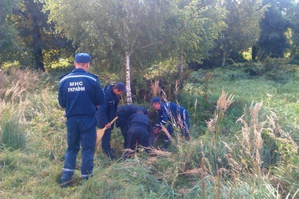 На Волині пожежники ловили мавпу і «стріляли» у неї водою. ФОТО. ВІДЕО