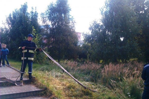 На Волині пожежники ловили мавпу і «стріляли» у неї водою. ФОТО. ВІДЕО