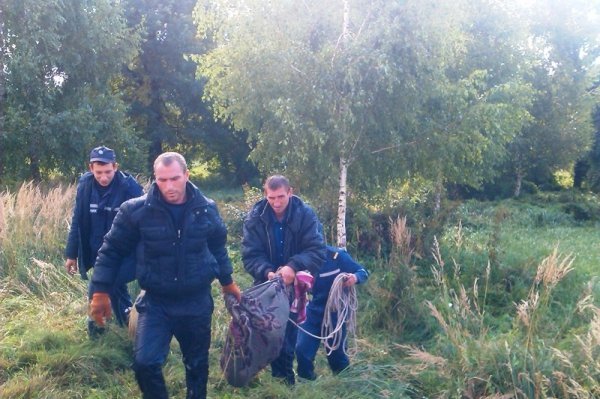 На Волині пожежники ловили мавпу і «стріляли» у неї водою. ФОТО. ВІДЕО