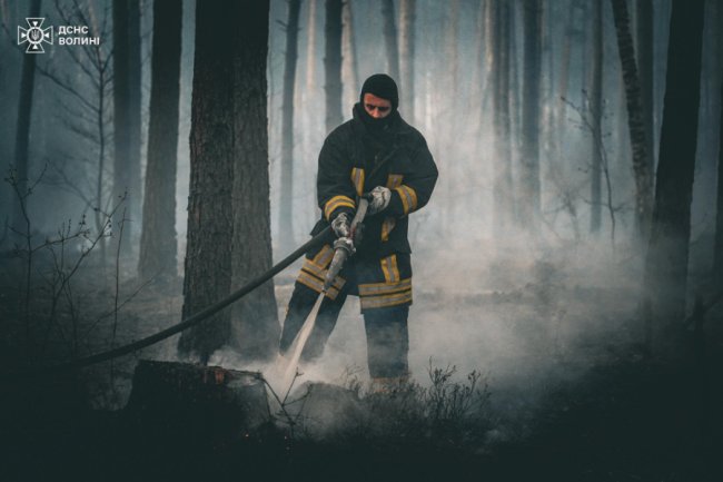 На Волині горів ліс. ВІДЕО